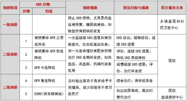 澳彩免费资料大全新奥,深度研究解析_QTK77.758传递版