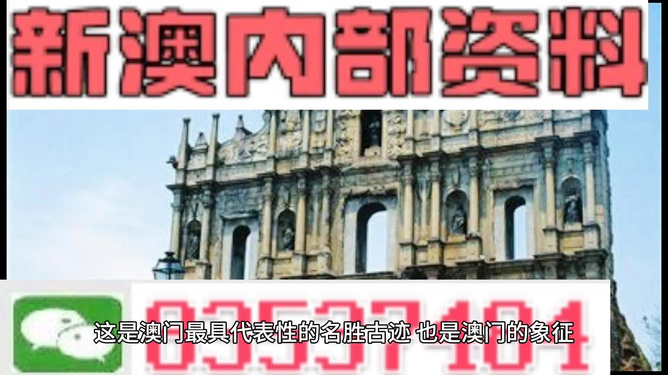 2024新澳精准正版资料大全,专业调查具体解析_EKW77.249快捷版