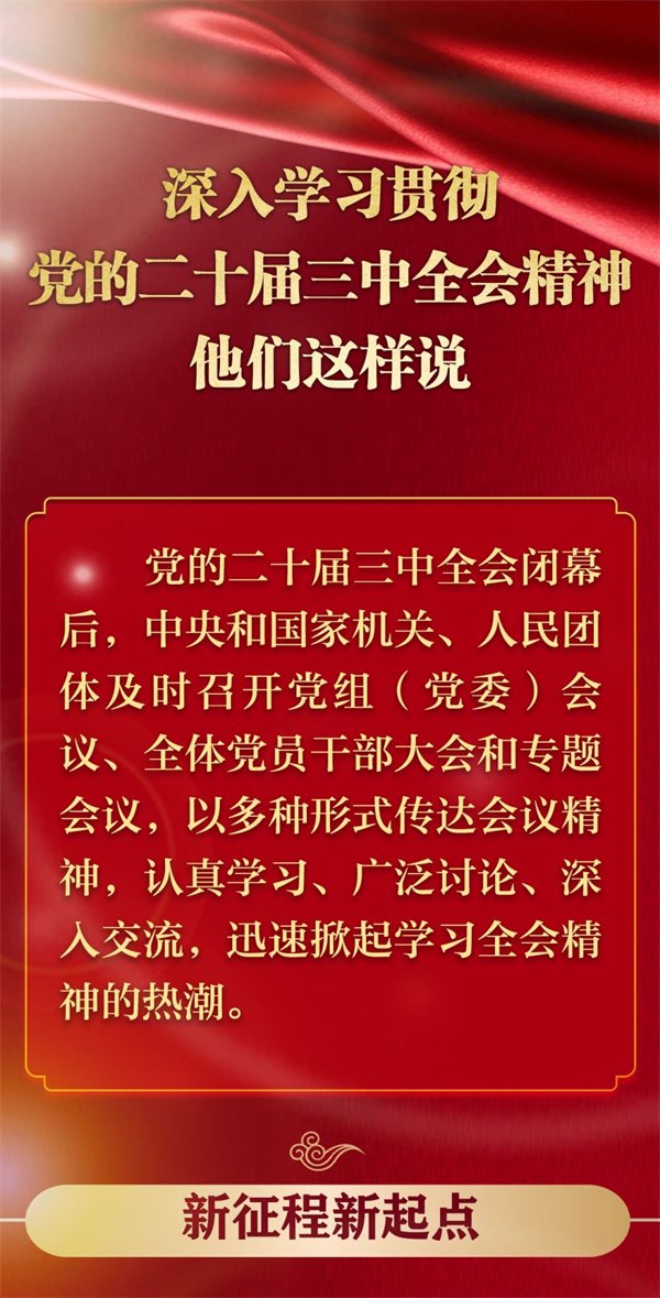 新澳精准资料大全免费，经济解读新释_ZVR77.655触感版