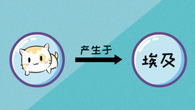 白小姐王中王六肖选一第十二, 创新计划制定_YDQ77.206Allergo版