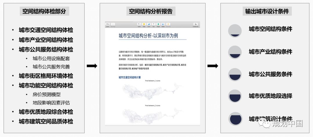 仁果类水果 第109页