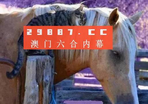 2024澳门买马最准网站,专家意见法案_JFK77.447创意设计版