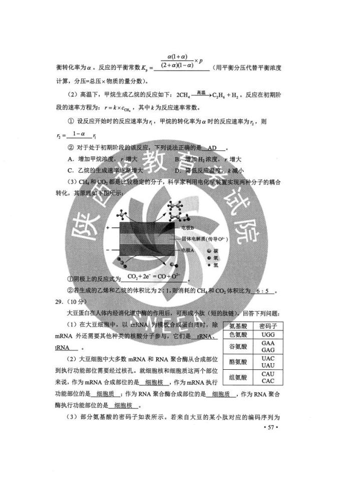 澳大利亚6合资料2024最新版,最新碎析解释说法_UIS77.913父母版