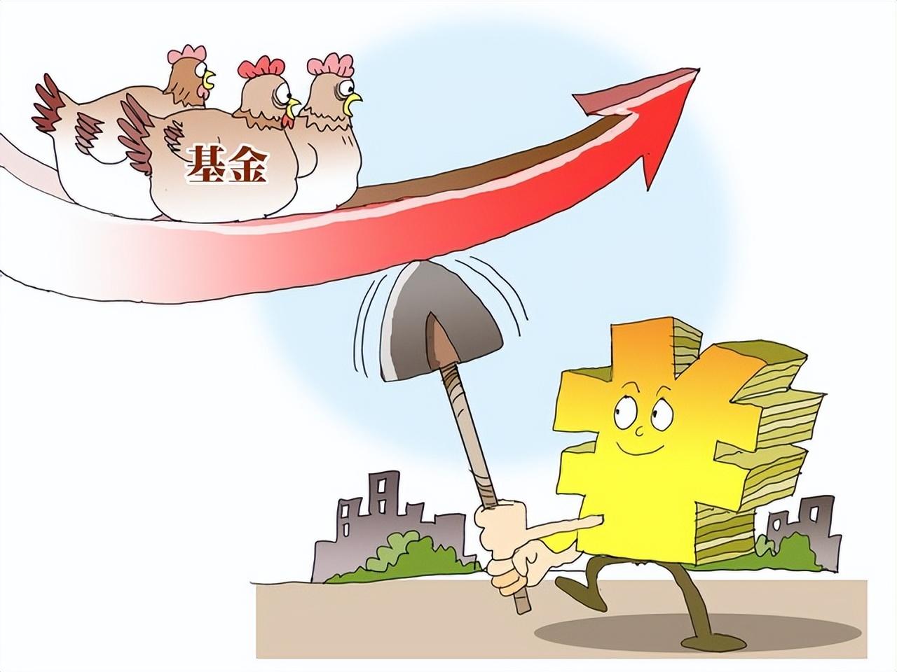 懒投资最新动态，学习变化，自信成就未来之旅