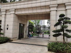 仁果类水果 第97页