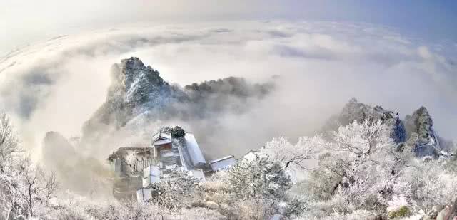 武夷山岩茶 第92页