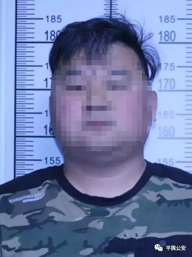庄市最新招聘大揭秘，火热职位等你来挑战！