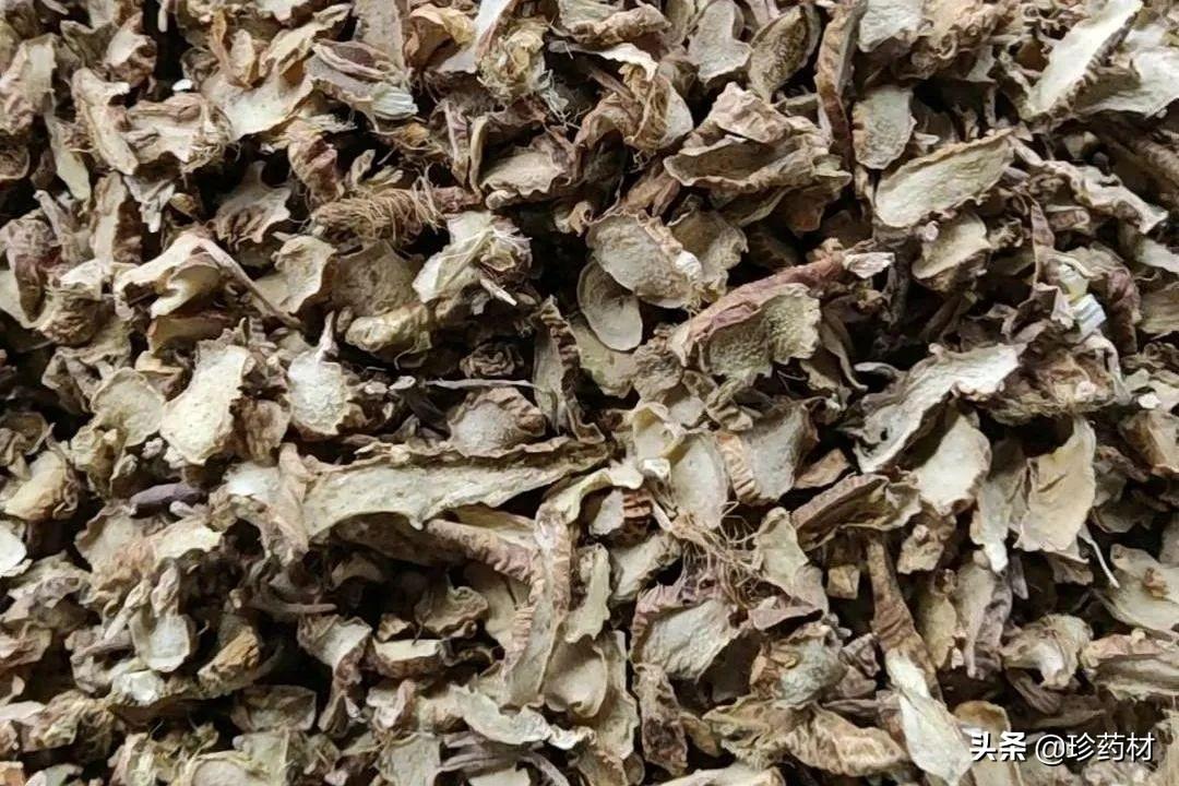丹参最新价格行情解析，获取与理解价格走势的全面指南