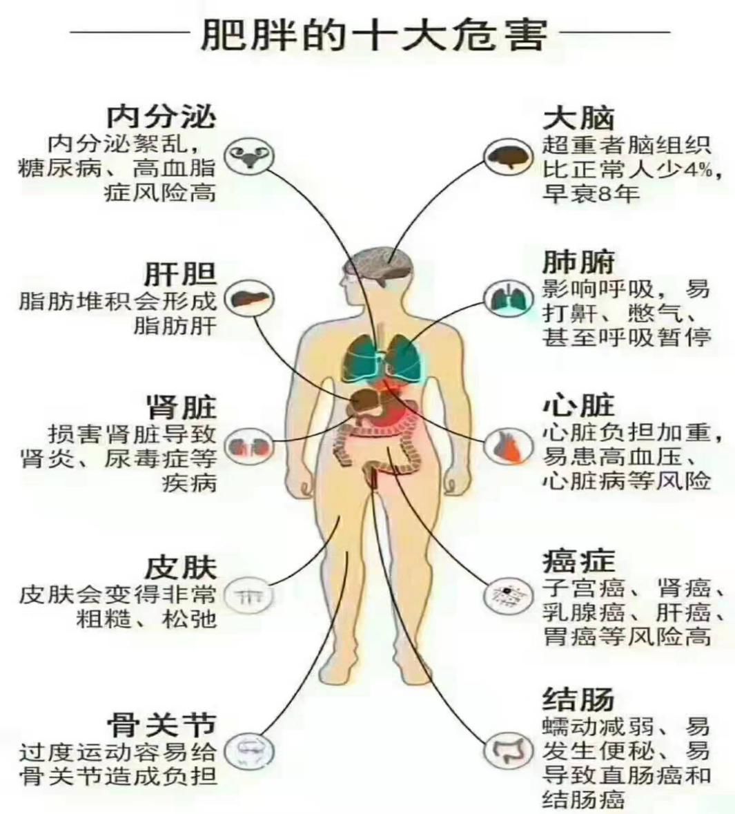 茶叶种植管理 第78页