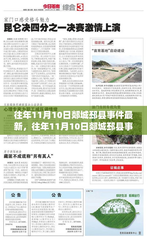 郯城邳县事件最新进展及关注应对指南，初学者与进阶用户必读