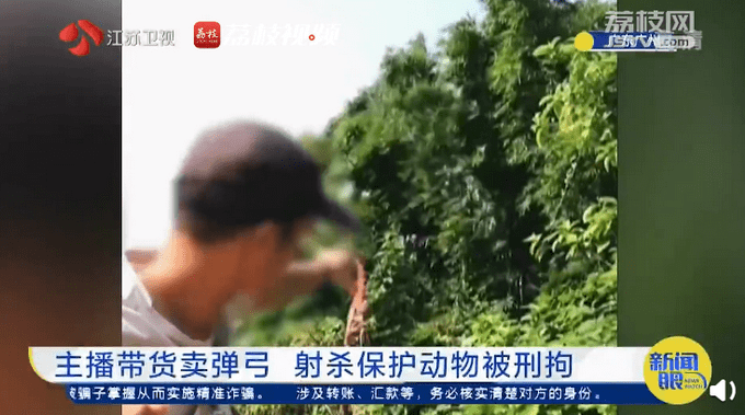 最新弹弓打鸟视频，技巧、乐趣与科普全解析