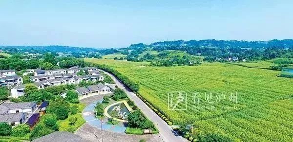黄舣镇最新规划详解，观点阐述与解读