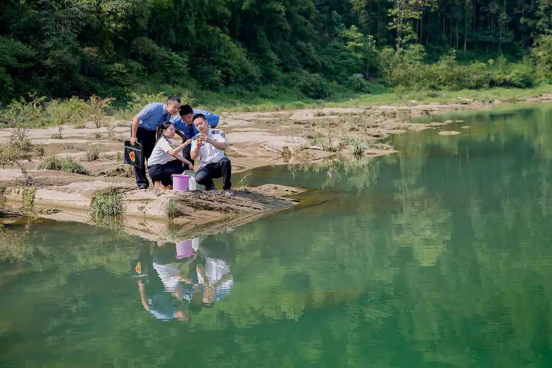 茶叶种植管理 第66页