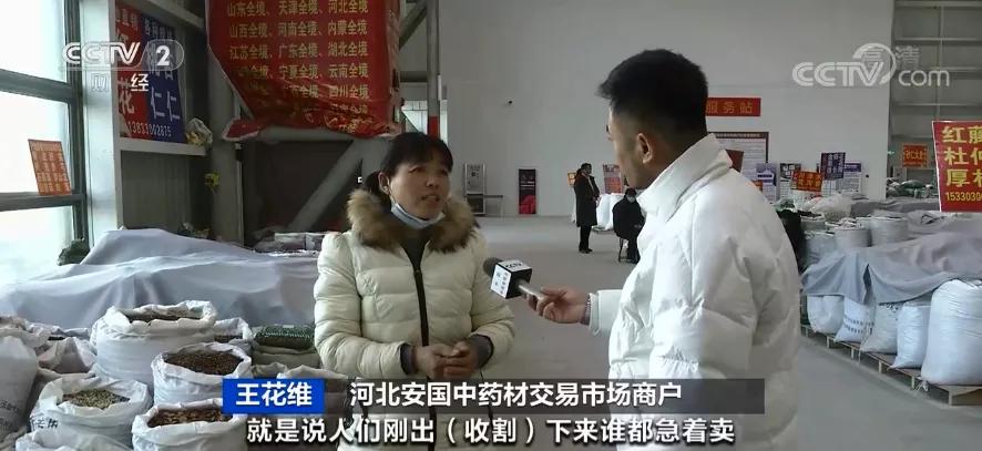仁果类水果 第71页