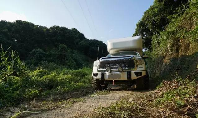 茶叶种植管理 第61页