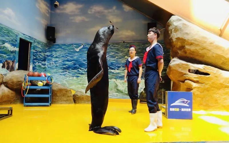 国家海洋乐园最新资讯，欢乐海洋日盛大开启