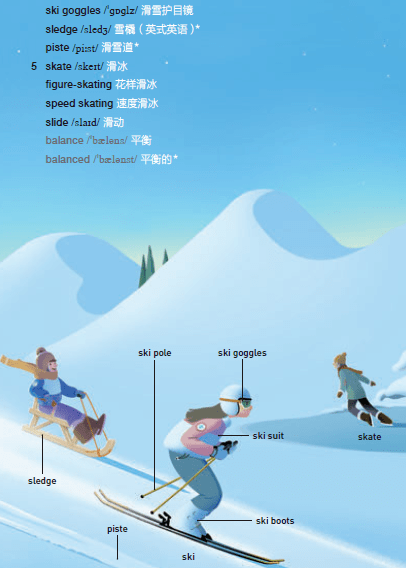 比赛英语单词探险之旅，与自然美景的邂逅之旅