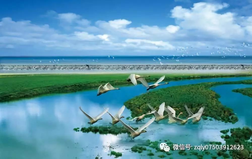 揭秘鄱阳湖最新水位变化，江南明珠的水情揭秘