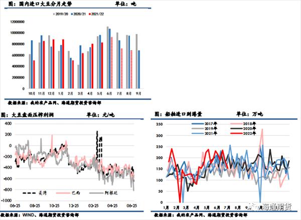 豆粕价格行情预测，探寻变化中的机遇与自我超越之路