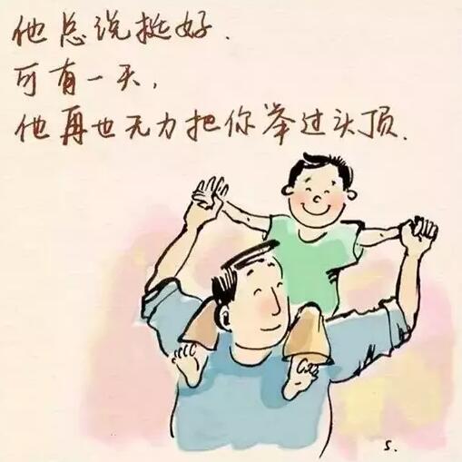 谢谢你来了最新，日常故事中的欢笑与感动