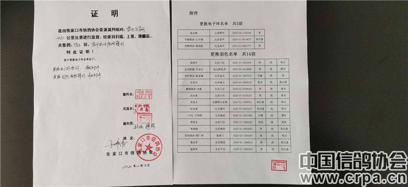 泰达公棚最新通告揭秘，公棚里的温馨日常趣事