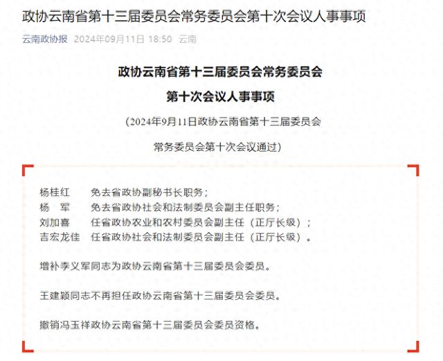 云南省政府最新人事任命揭晓，日常中的温馨故事启幕