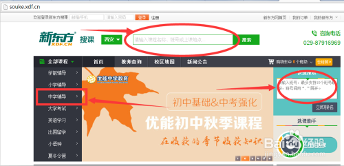 新东方上市指南，从初学者到进阶用户的步骤解析