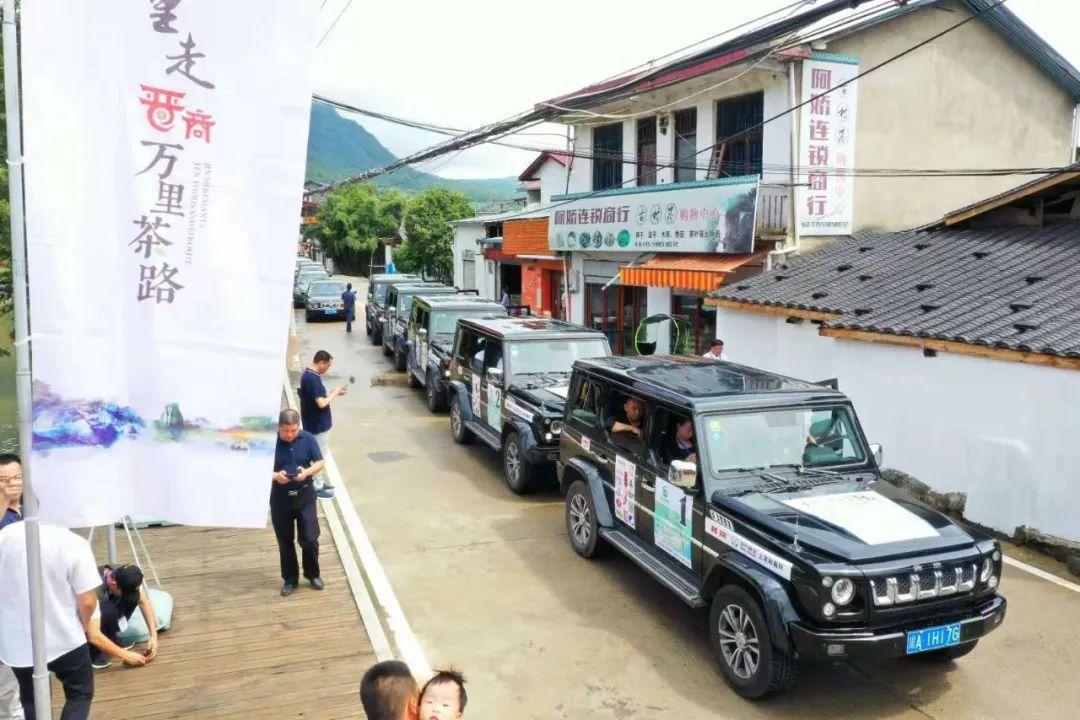 武夷山岩茶 第49页