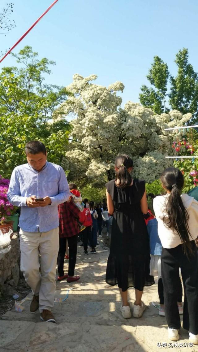 费县租房最新动态，与自然美景相遇，宁静之旅的起点