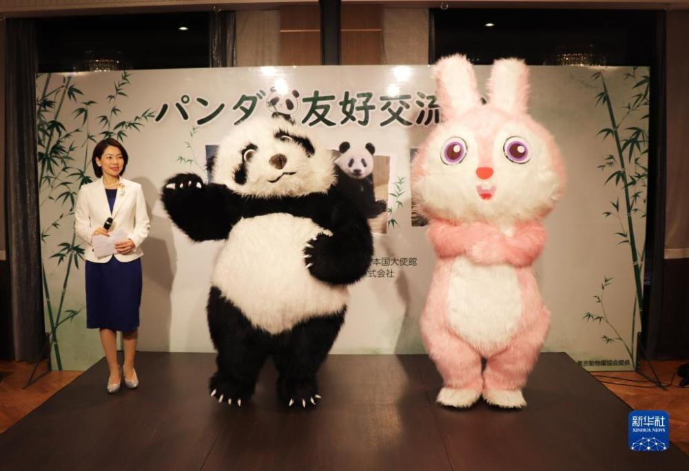 日本东京最新动态概览