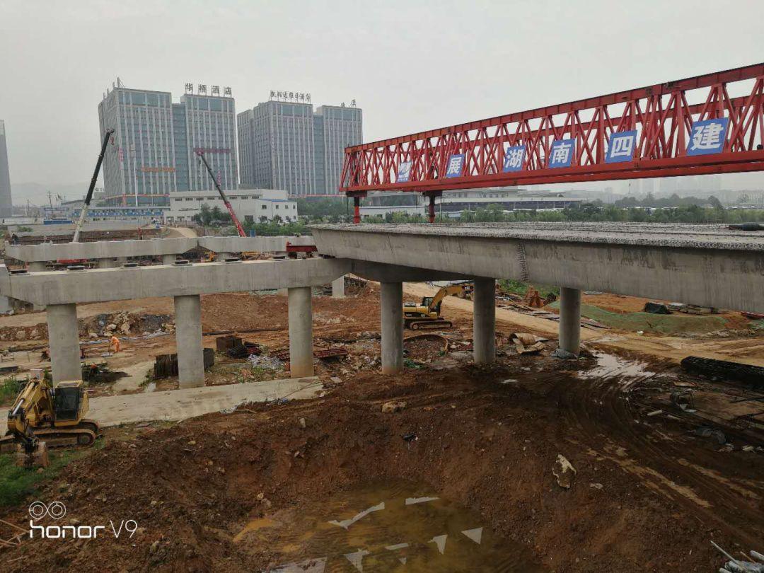 仁果类水果 第42页