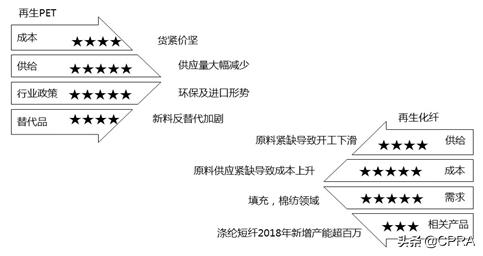 最新再生PET瓶片价格动态及市场趋势分析💎🌿