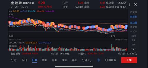 金螳螂股票最新动态与行业趋势、投资前景深度解析