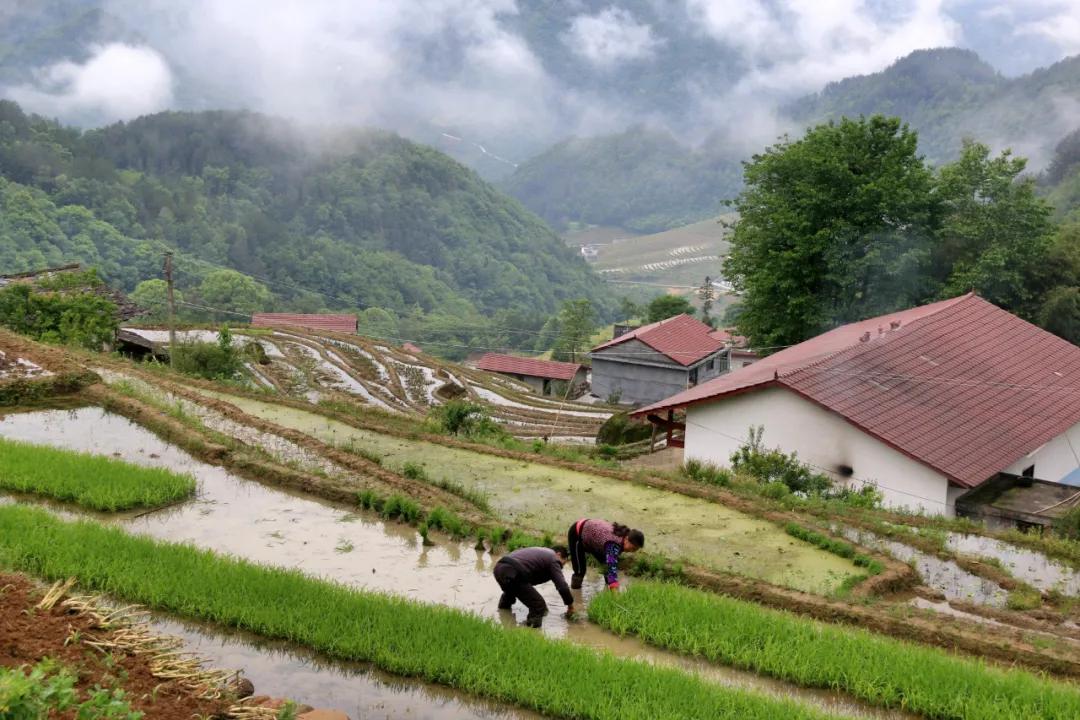 微信朋友圈新功能探索自然美景，开启内心宁静之旅