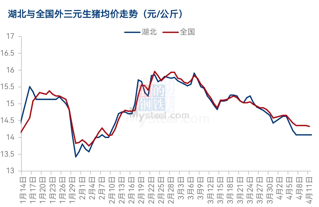 湖北生猪价格行情及深度分析
