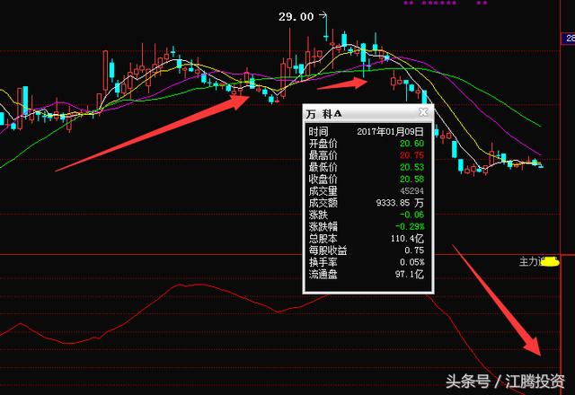 股票的明星人物风采展示