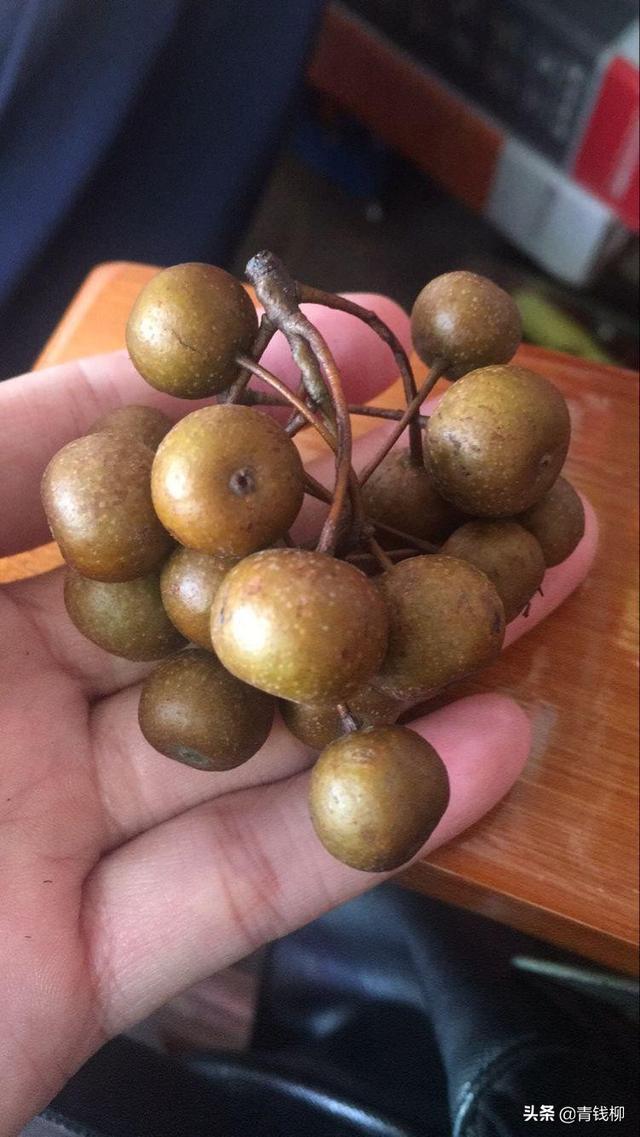 梨圆春最新刊，小巷深处的独特风味