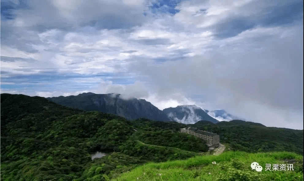 武夷山岩茶 第33页