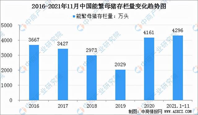 猪行情多维探析，行业发展趋势深度解析