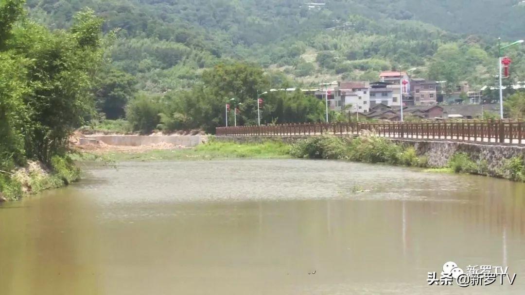 今日生猪价格动态，与自然美景的旅行对话