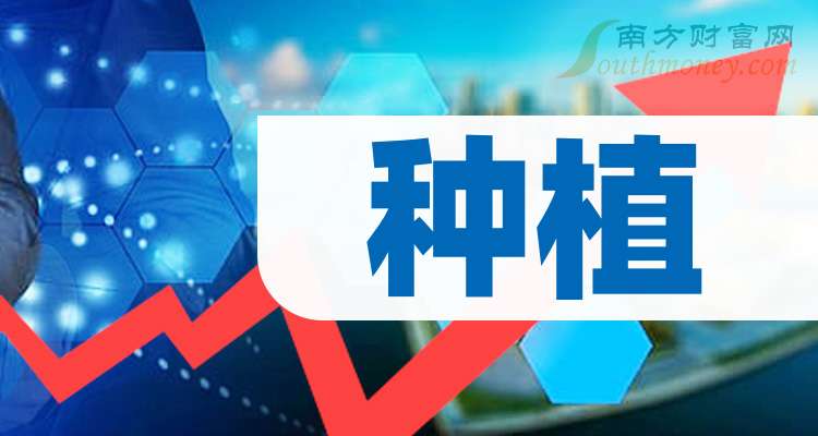 2025年上市的公司，时代浪潮中的弄潮儿