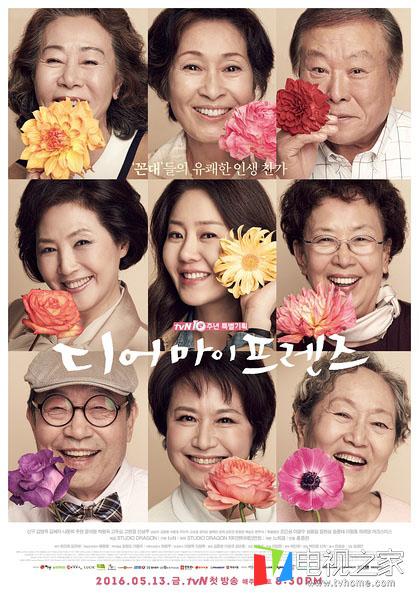高斗心主演电视剧全攻略，观看与体验步骤指南