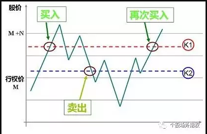 武夷山岩茶 第15页