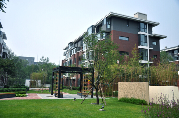南山新盘探寻记，现代都市的理想居住空间推荐